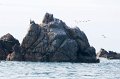0245 Sept iles